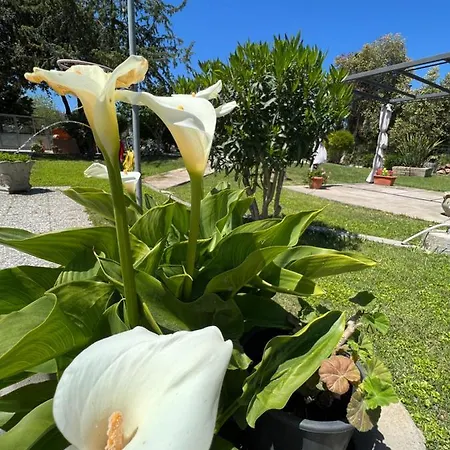 Tra Terra E Mare Pensionat