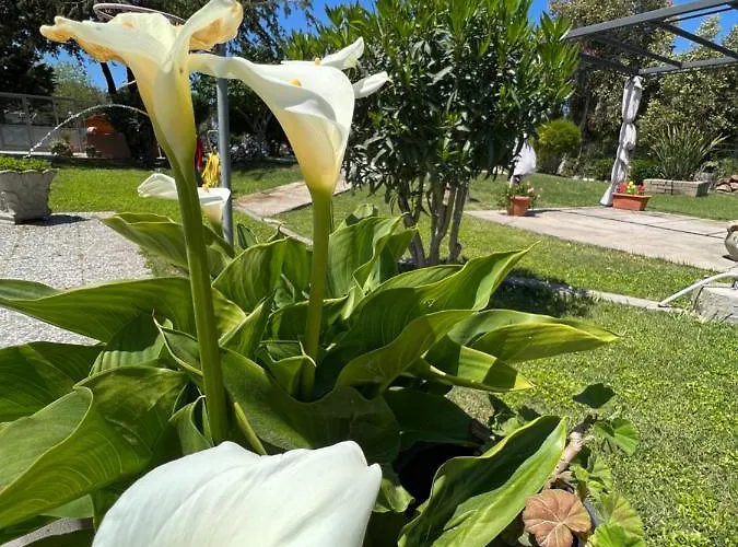 Tra Terra E Mare Konukevi